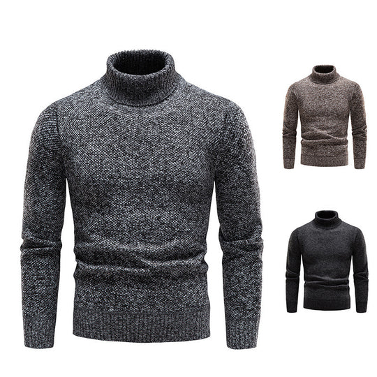Herren Rollkragenpullover aus hochwertiger Wolle EB
