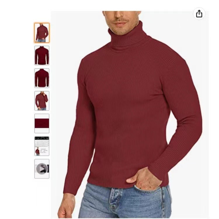 Herren Stehkragen Pullover aus ribbeltem Strick EB