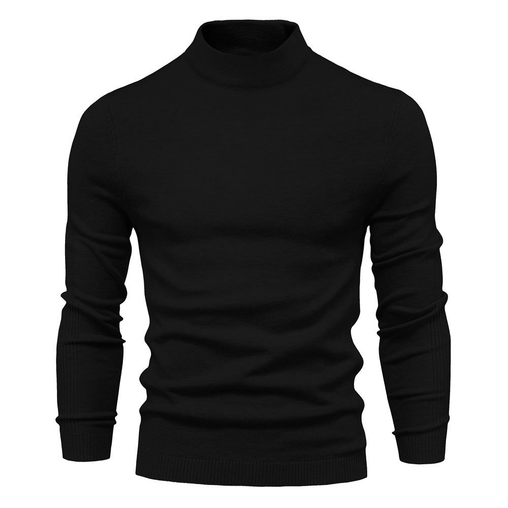 Herren stilvoller Rollkragenpullover aus weicher Merinowolle EB