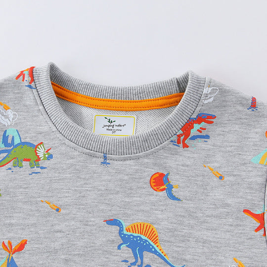 Kinder Sweatshirt mit buntem Dinosaurier-Motiv EB