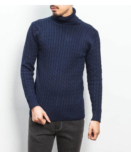 Herren modischer Rollkragenpullover mit strukturierter Strickoptik EB