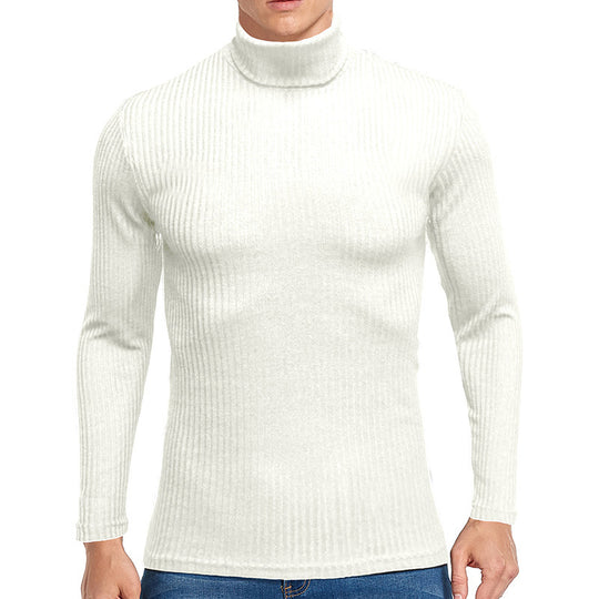 Herren feiner Rollkragenpullover aus strukturiertem Strick EB