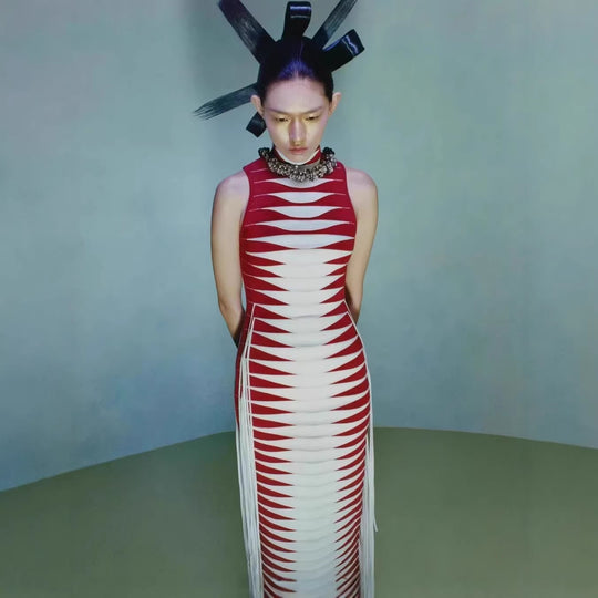 Damen körperbetontes Maxikleid mit Fransen und grafischem Design EB