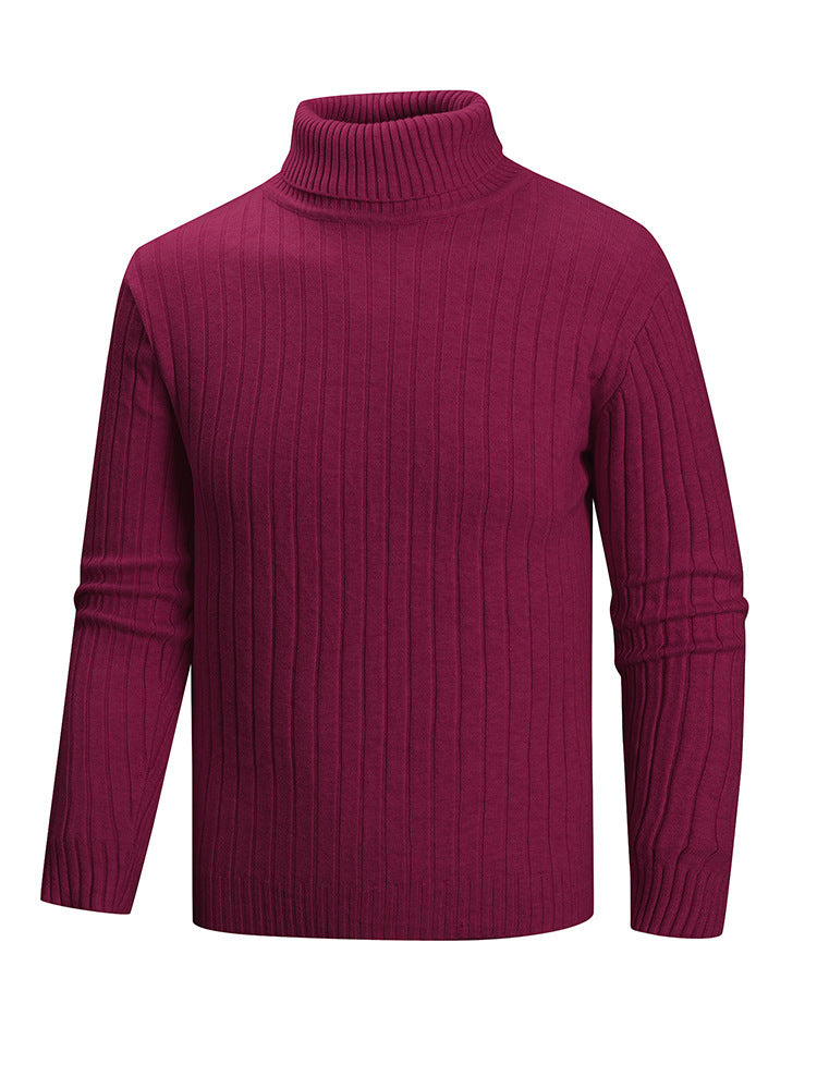 Herren Rollkragenpullover aus hochwertigem Feinstrick EB