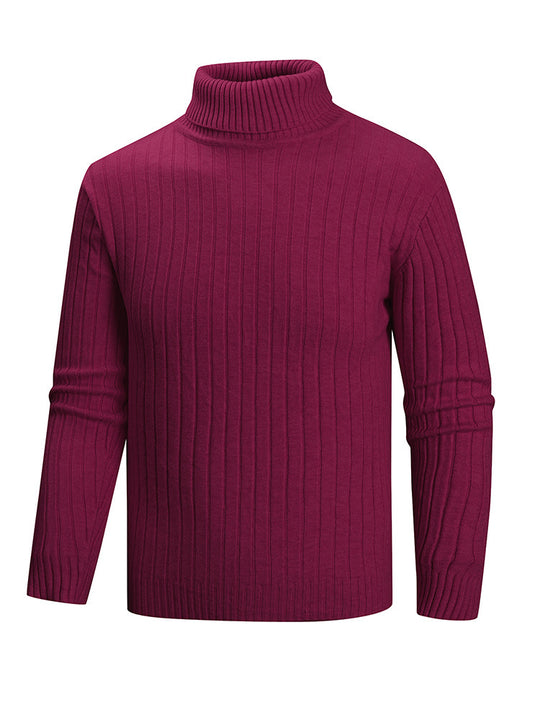 Herren Rollkragenpullover aus hochwertigem Feinstrick EB