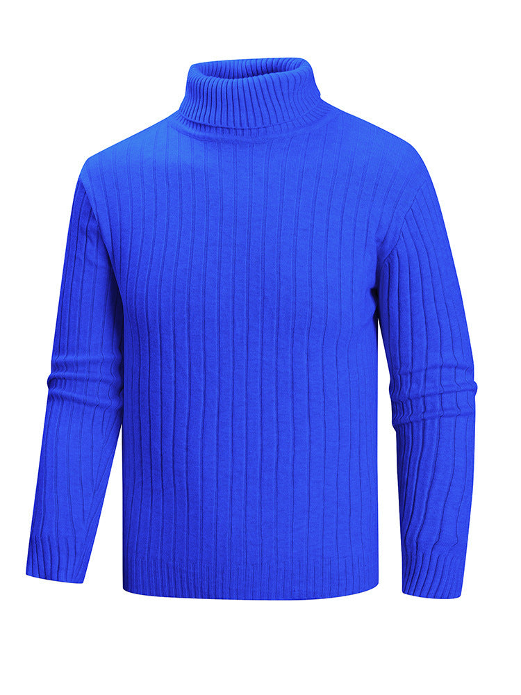 Herren Rollkragenpullover aus hochwertigem Feinstrick EB