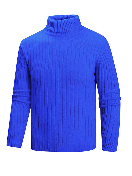 Herren Rollkragenpullover aus hochwertigem Feinstrick EB