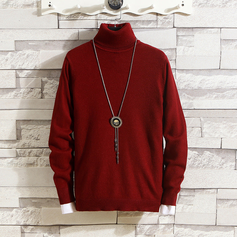 Herren Rollkragenpullover aus hochwertigem Strickmaterial EB