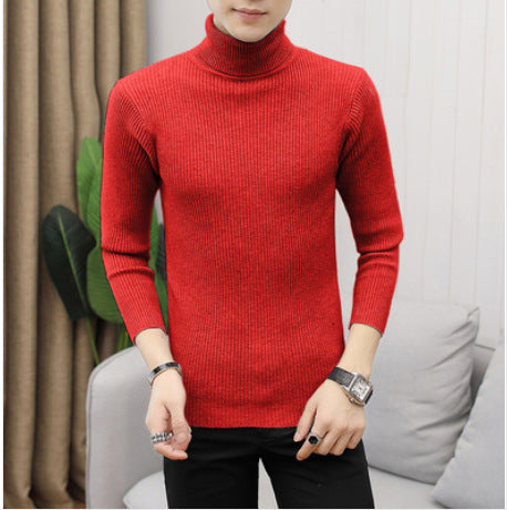 Herren nan Rippstrick Rollkragenpullover figurnaher elastischer Feinstrick EB