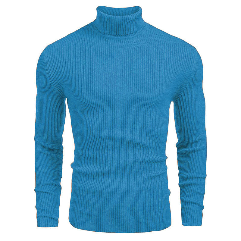 Herren Rollkragenpullover aus feinem Rippstrickmaterial EB