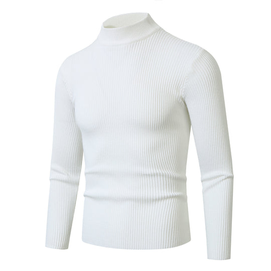 Herren modischer Rollkragenpullover aus feiner Wolle EB