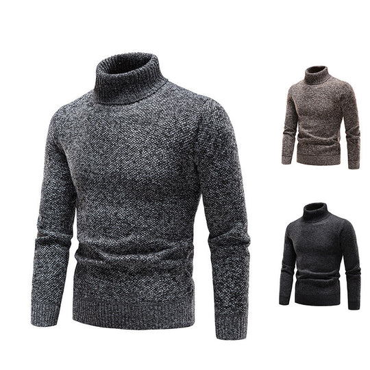 Herren Rollkragenpullover aus hochwertiger Wolle EB