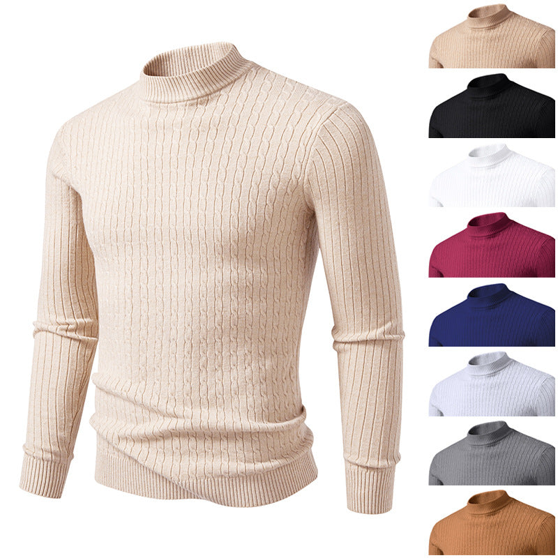 Herren Rollkragenpullover mit strukturiertem Zopfdesign EB