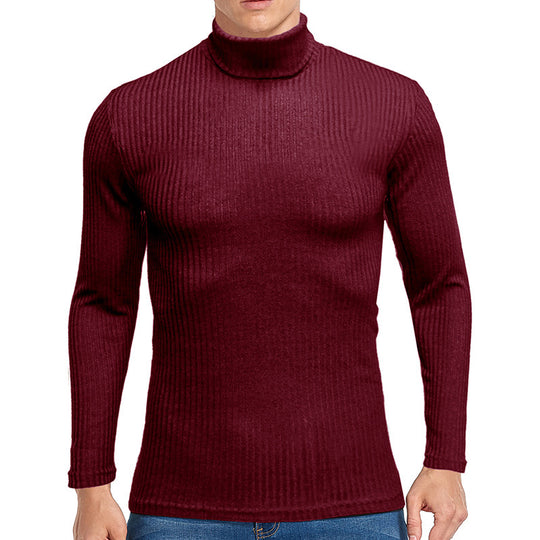 Herren feiner Rollkragenpullover aus strukturiertem Strick EB