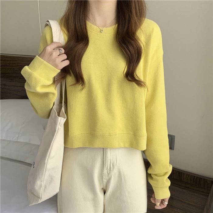 Damen lässiger cropped Pullover aus weichem Baumwollmix mit modischem Rundhalsausschnitt EB