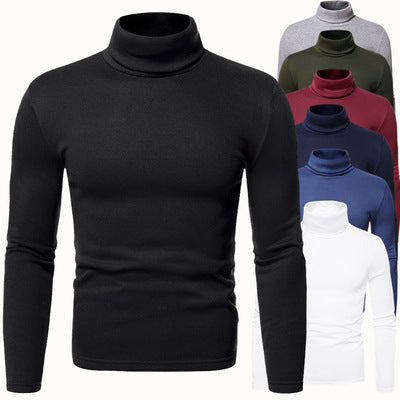 Herren Rollkragenpullover aus weichem Baumwoll-Mix EB