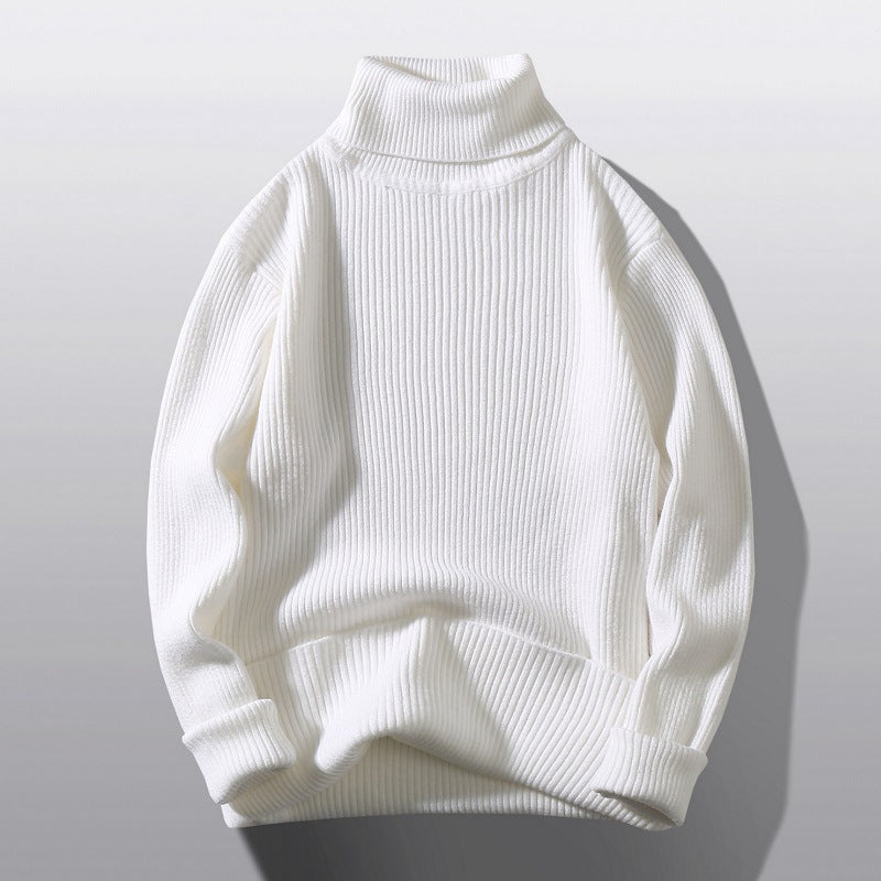 Herren bequemer Rollkragenpullover aus strukturiertem Strick EB