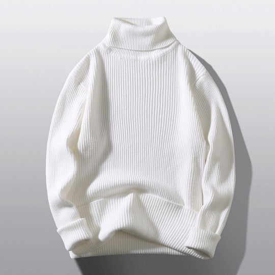 Herren bequemer Rollkragenpullover aus strukturiertem Strick EB
