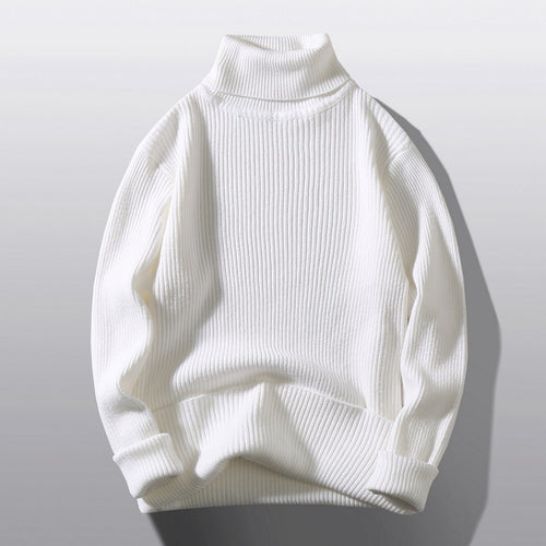 Herren bequemer Rollkragenpullover aus strukturiertem Strick EB