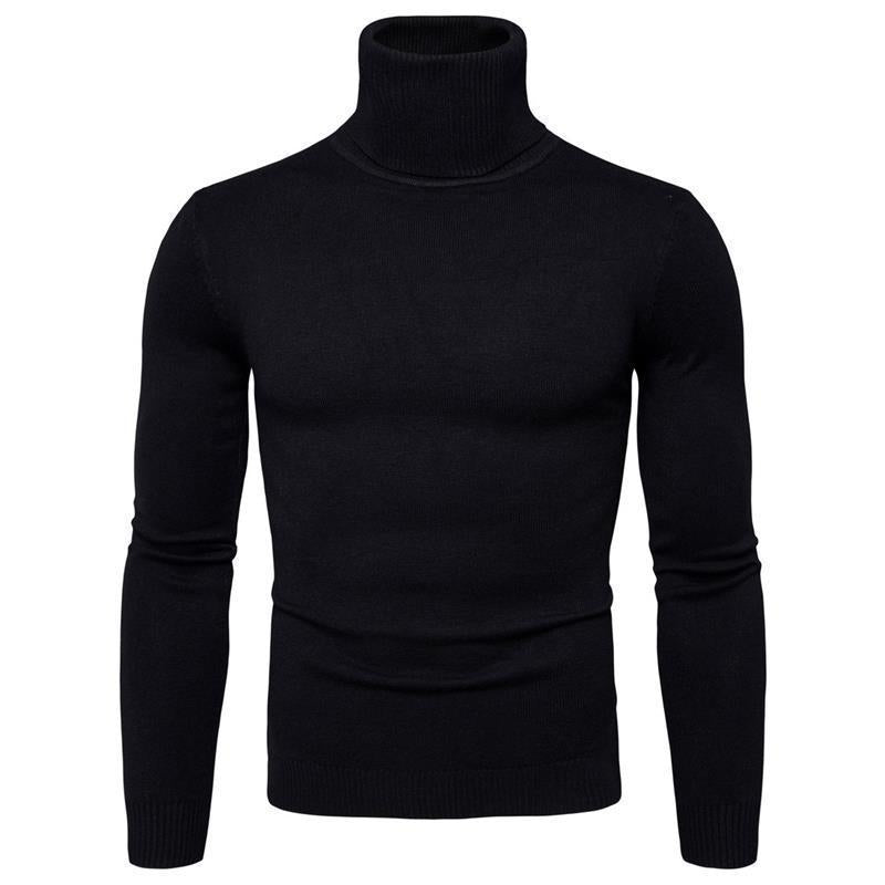Herren Rollkragenpullover aus feiner Merinowolle EB