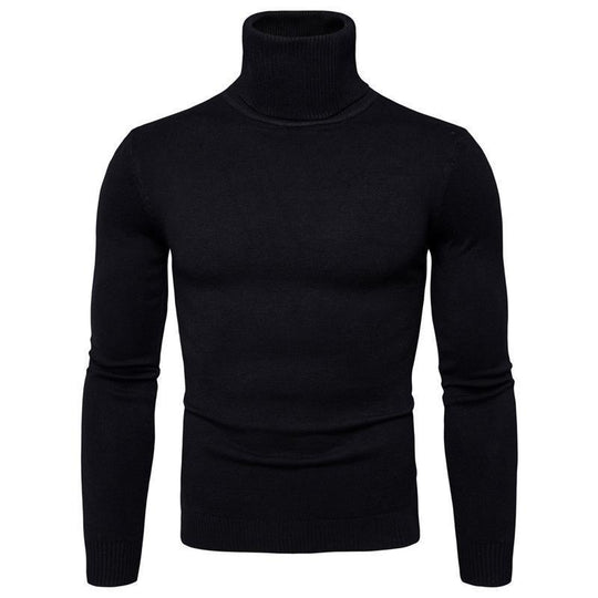 Herren Rollkragenpullover aus feiner Merinowolle EB