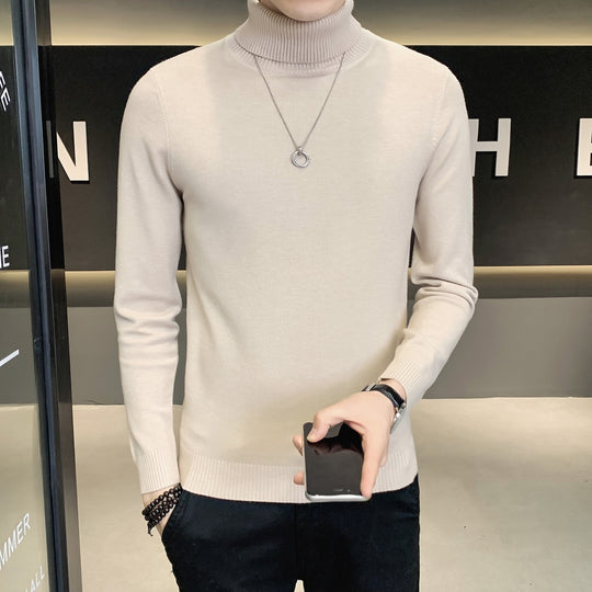 Herren Pullover mit hohem Kragen aus weicher Strickware EB