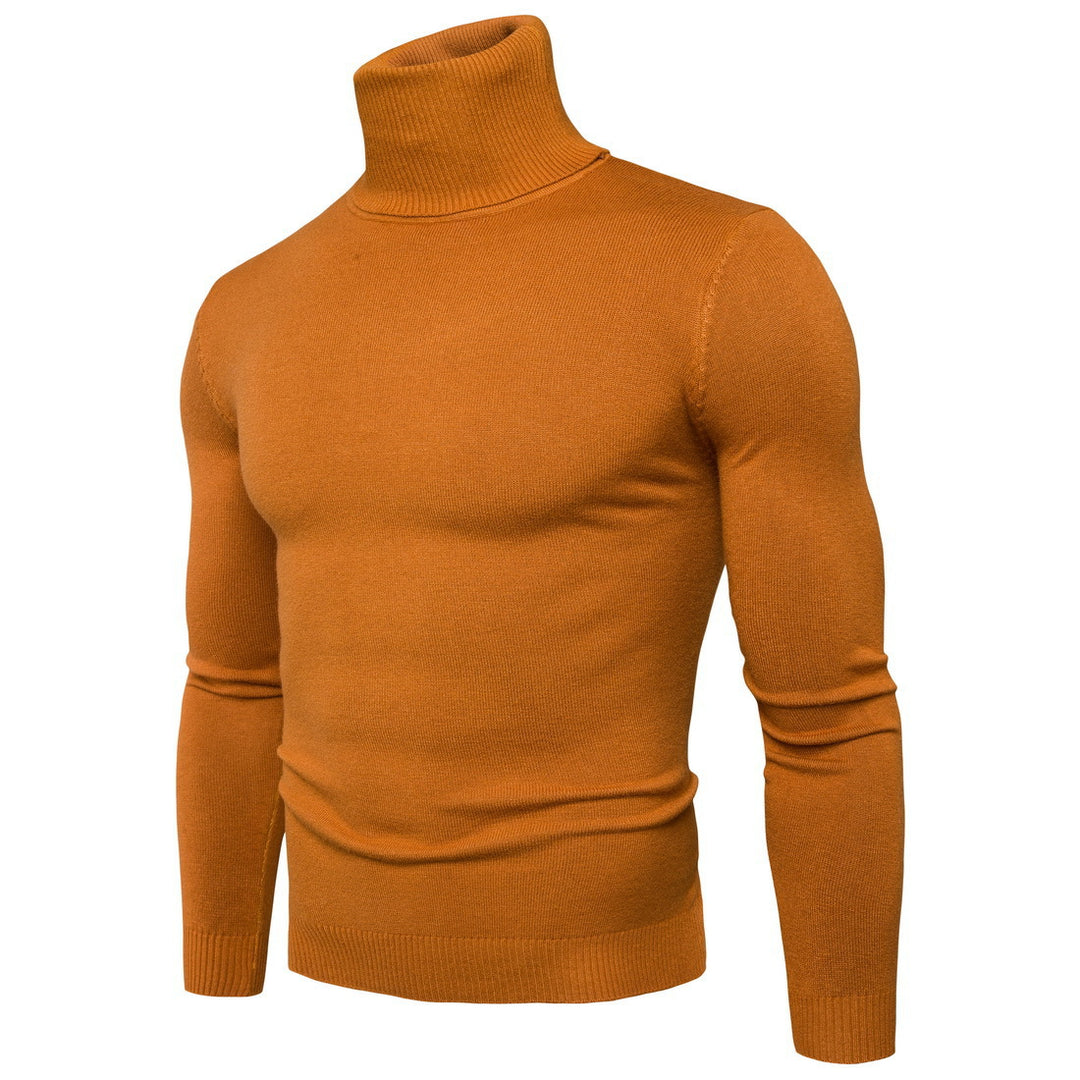 Herren Rollkragenpullover aus feiner Merinowolle EB