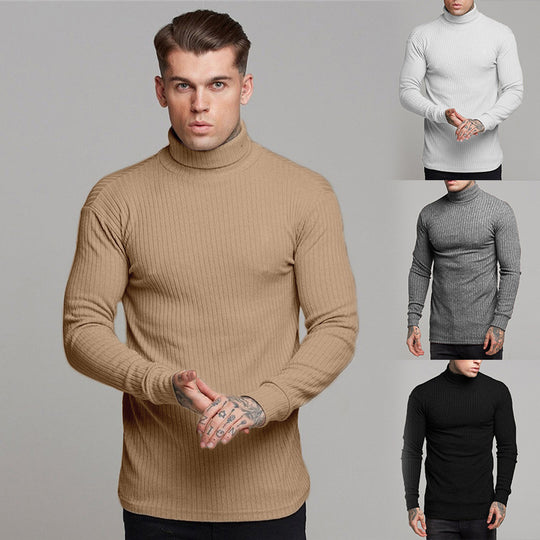 Herren modisches Langarmshirt mit Rollkragen EB