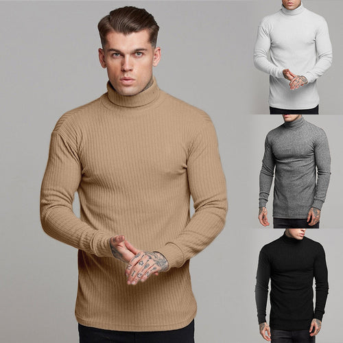 Herren modisches Langarmshirt mit Rollkragen EB
