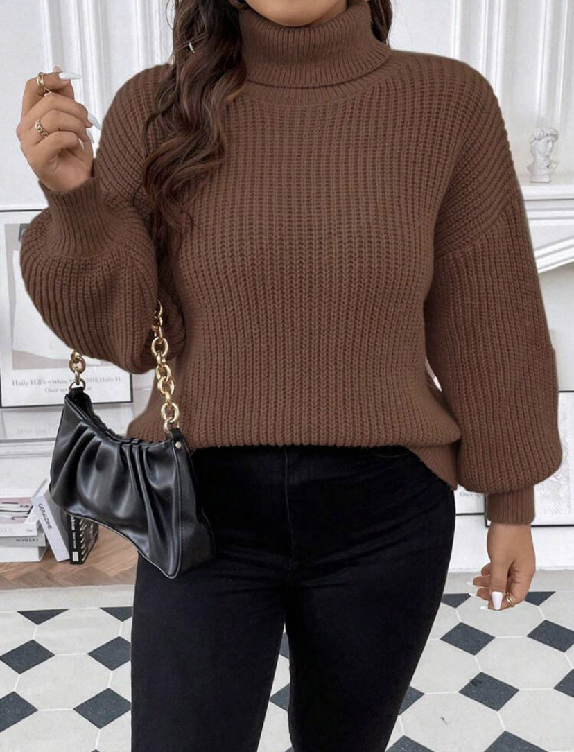 Damen Gemütlicher chunky Pullover mit Rollkragen und strukturiertem Strick EB