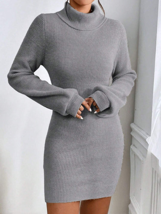 Damen Strickkleid mit hohem Kragen und langen Ärmeln EB