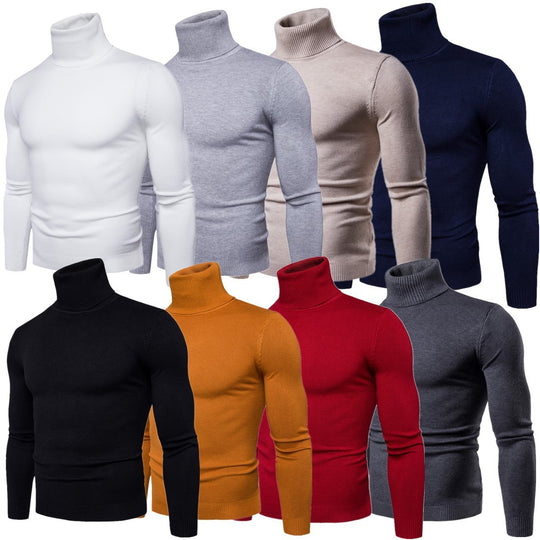 Herren Rollkragenpullover aus weichem Strick EB