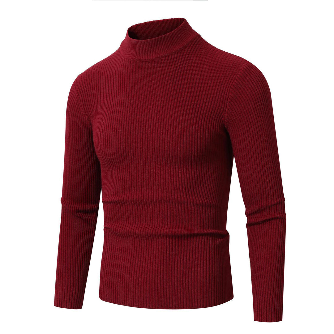 Herren Rollkragenpullover mit geripptem Design EB