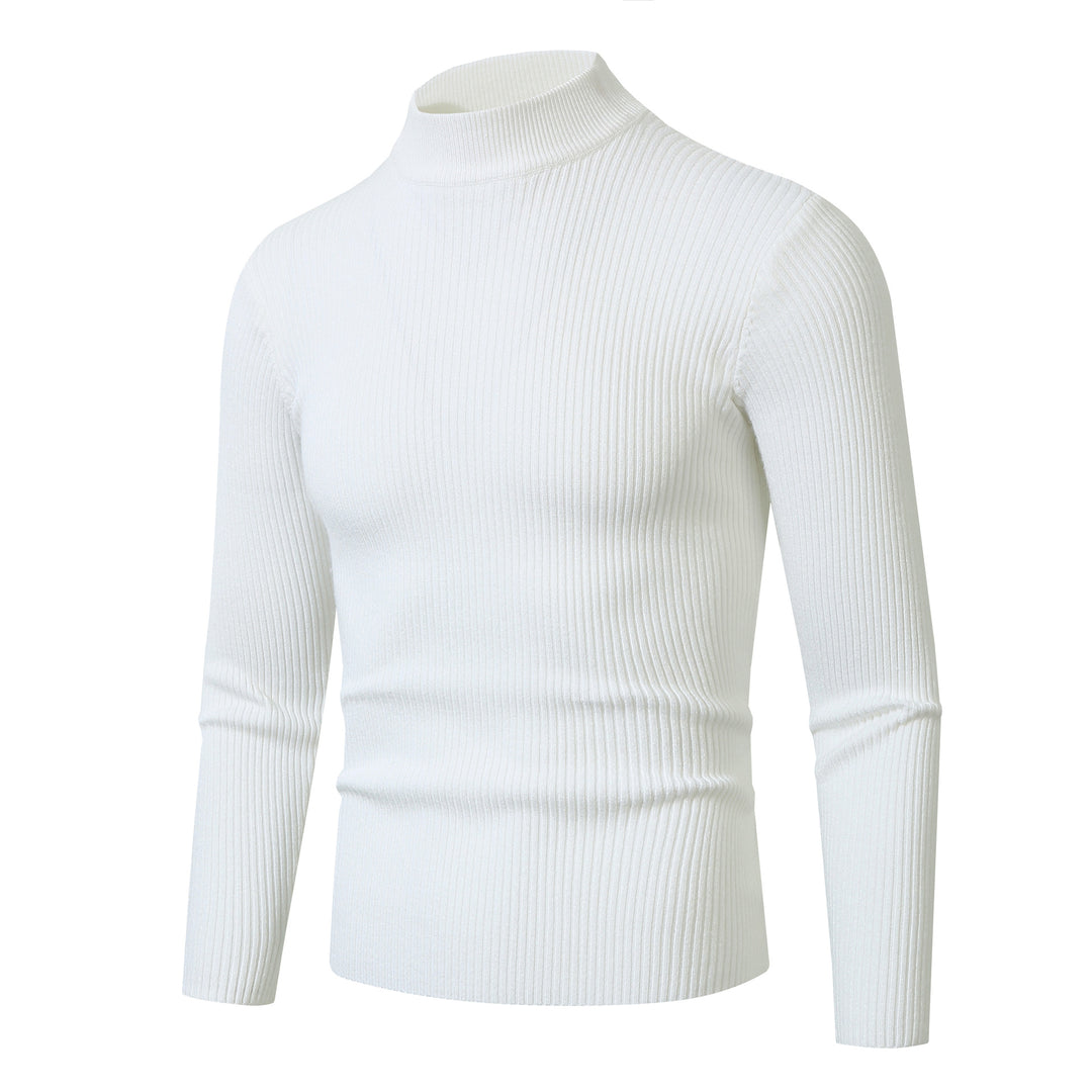 Herren Rollkragenpullover aus feinem Rippstrickmaterial EB