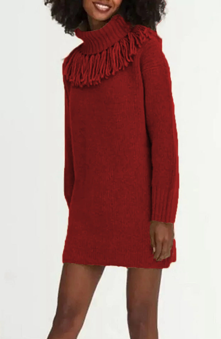 Damen Strickkleid mit hohem Rollkragen und modischen Fransen EB