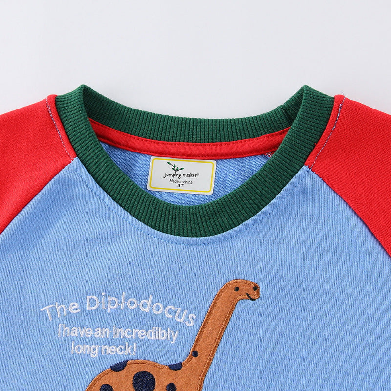 Jungen Sweatshirt mit lustigem Dinosaurierdesign EB