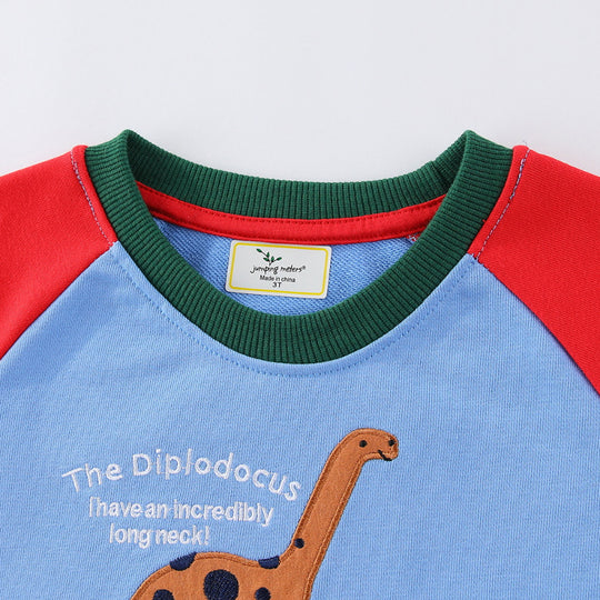 Jungen Sweatshirt mit lustigem Dinosaurierdesign EB