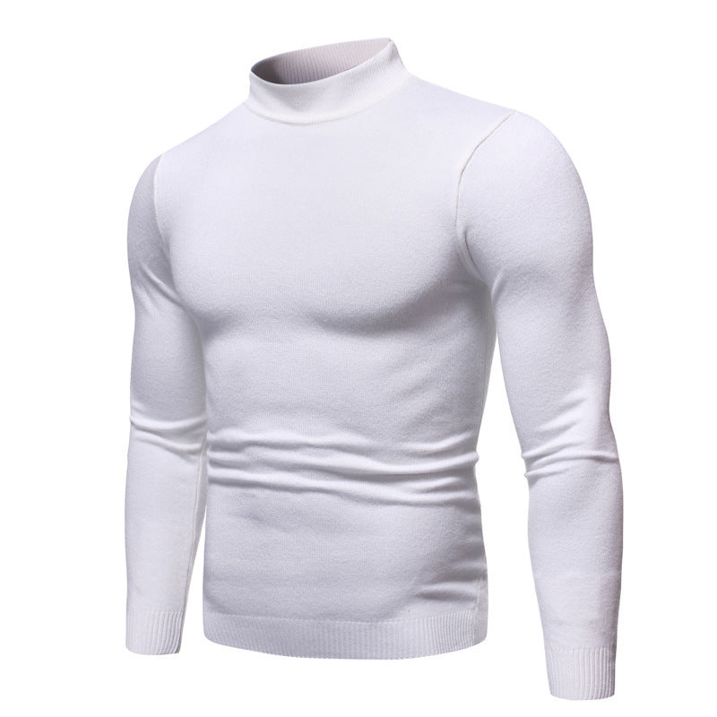 Herren zeitloser Rollkragenpullover EB