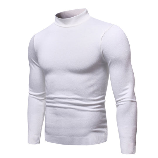 Herren zeitloser Rollkragenpullover EB