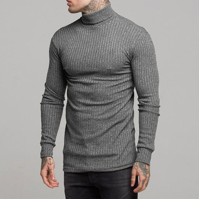 Herren modisches Langarmshirt mit Rollkragen EB