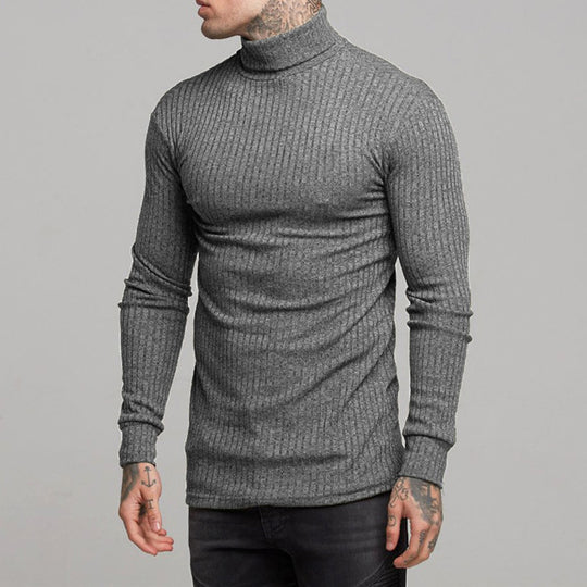 Herren modisches Langarmshirt mit Rollkragen EB