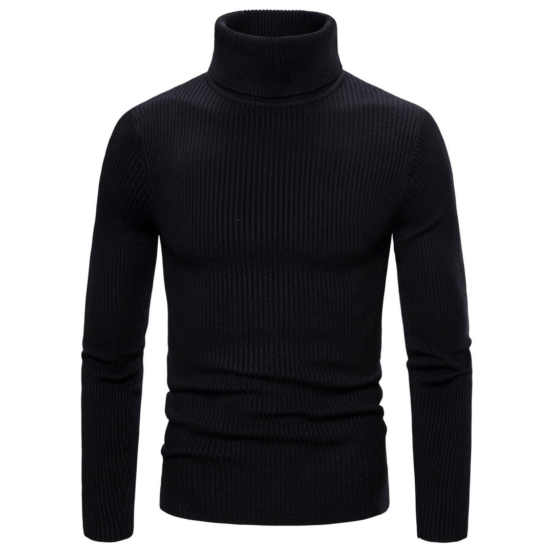 Herren modischer Rollkragenpullover aus hochwertigem Strick EB