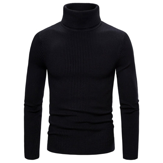 Herren modischer Rollkragenpullover aus hochwertigem Strick EB