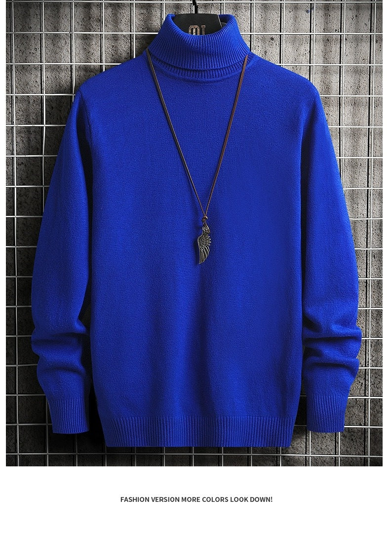 Herren bequemer Rollkragenpullover EB