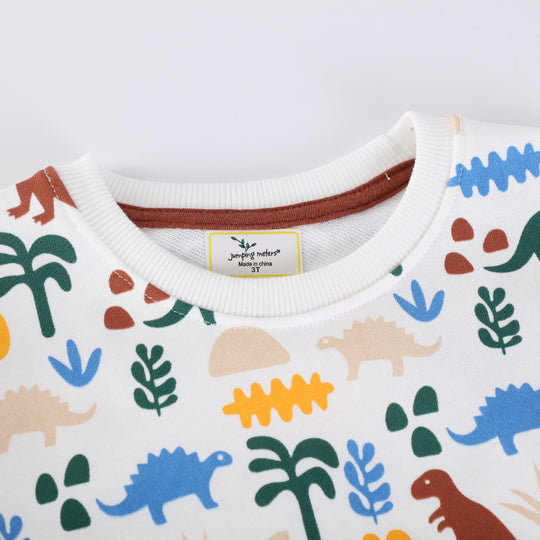Jungen Sweatshirt mit lebhaftem Dinosaurier-Muster EB