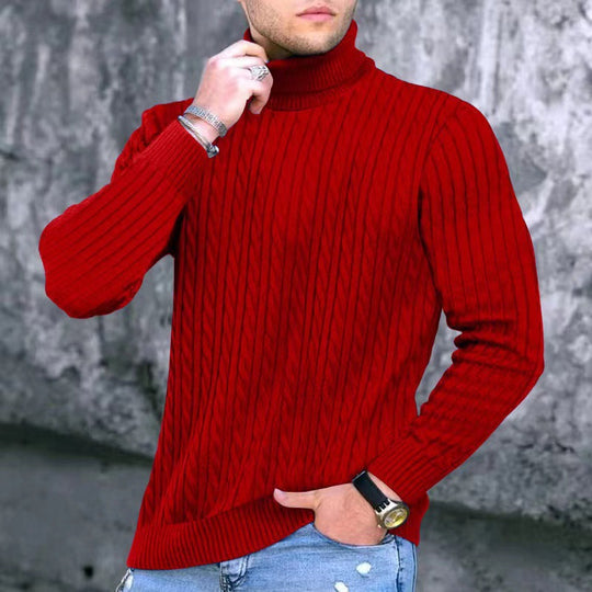 Herren Strickpullover mit modernem Rippmuster und hohem Kragen EB