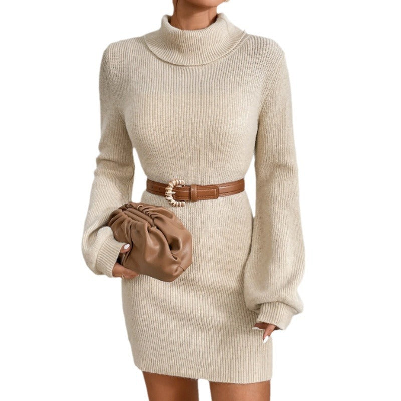 Damen Strickkleid mit hohem Kragen und langen Ärmeln EB