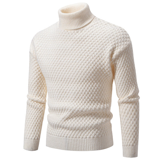 Herren modischer Rollkragenpullover mit strukturierter Oberfläche EB