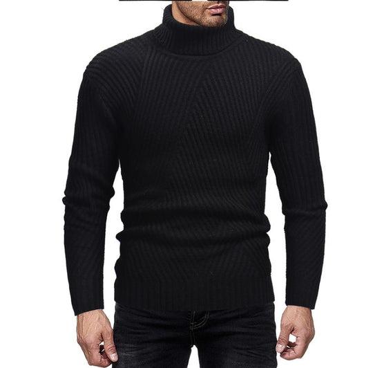 Herren Rollkragenpullover EB
