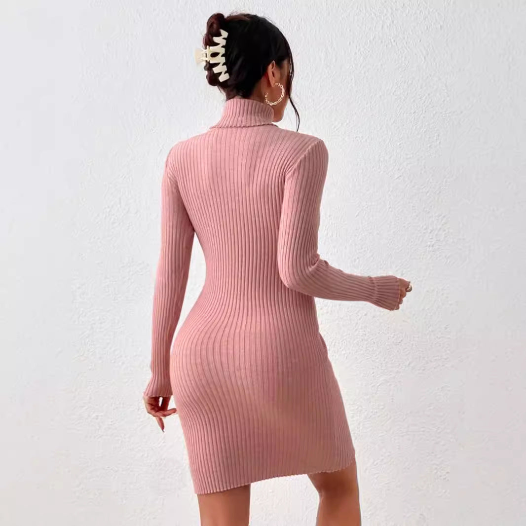 Damen Strickkleid mit hohem Kragen EB
